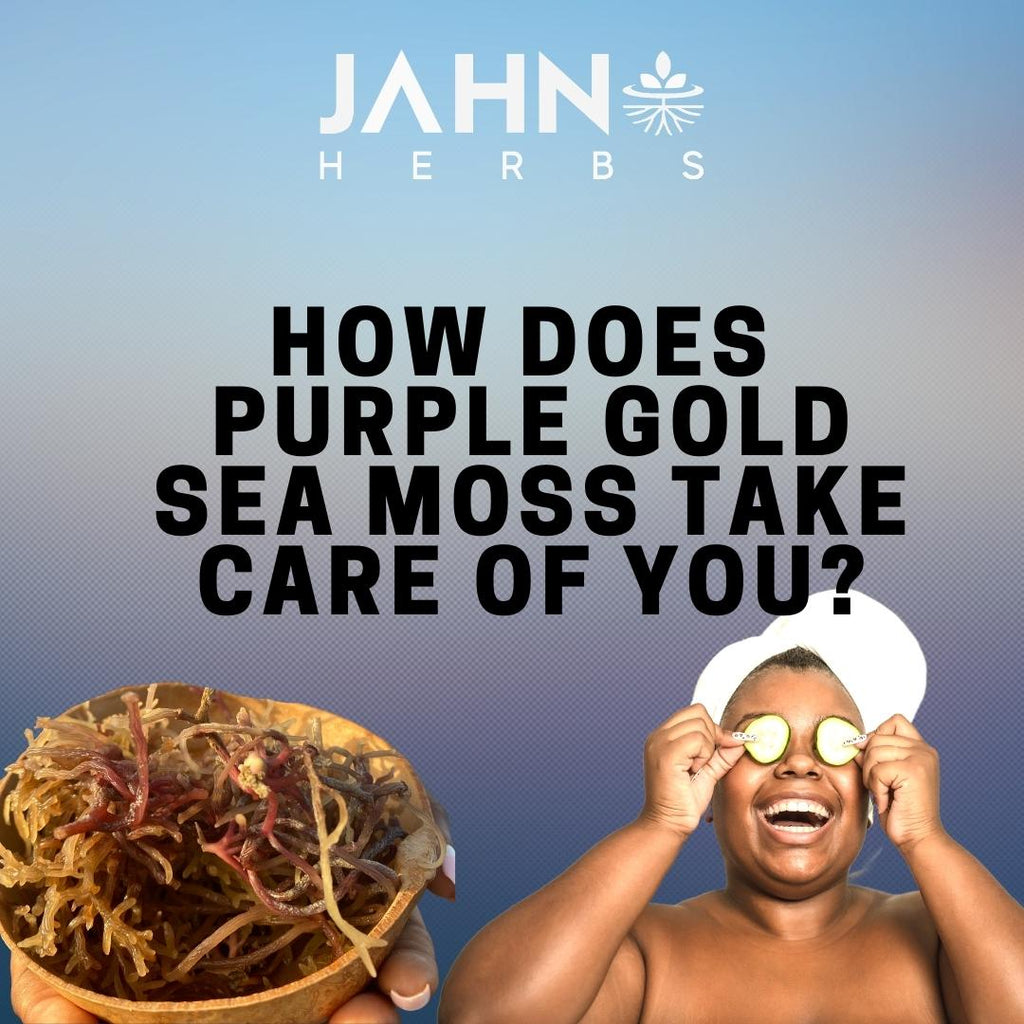 How does Sea Moss take care of you?